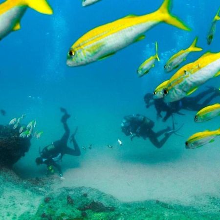 Devocean Eco Adventure Lodge ポンタ・ド・オウロ エクステリア 写真