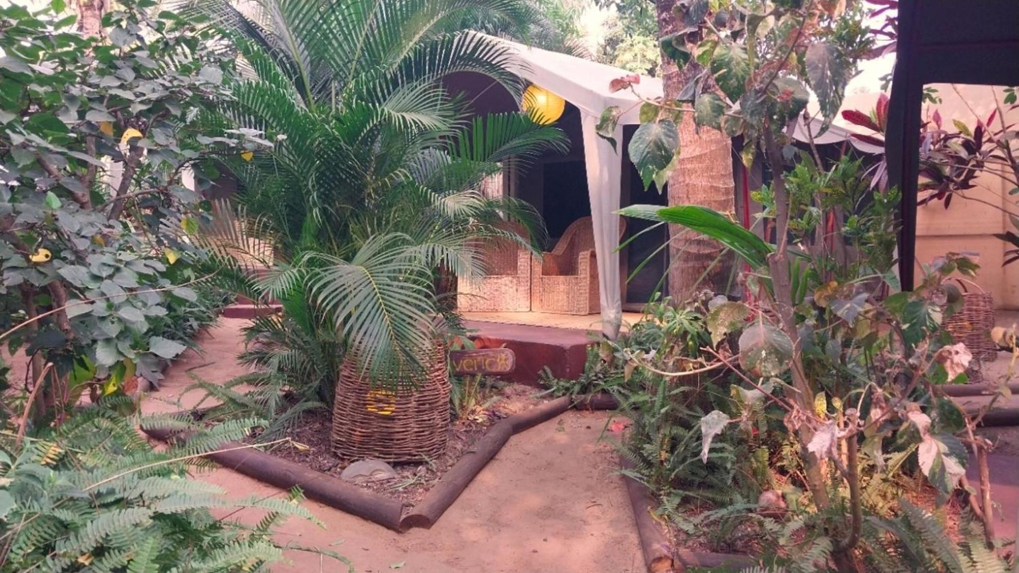 Devocean Eco Adventure Lodge ポンタ・ド・オウロ エクステリア 写真