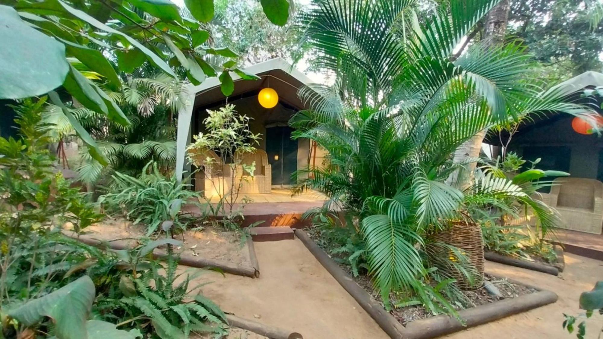 Devocean Eco Adventure Lodge ポンタ・ド・オウロ エクステリア 写真