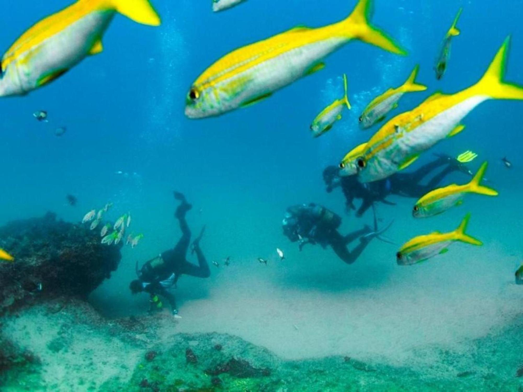 Devocean Eco Adventure Lodge ポンタ・ド・オウロ エクステリア 写真