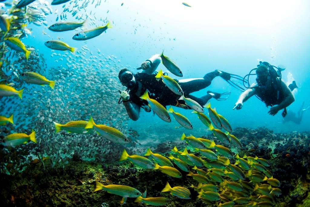 Devocean Eco Adventure Lodge ポンタ・ド・オウロ エクステリア 写真