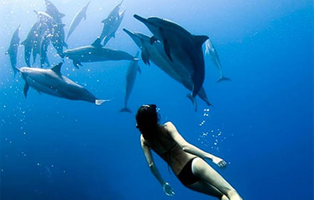 Devocean Eco Adventure Lodge ポンタ・ド・オウロ エクステリア 写真