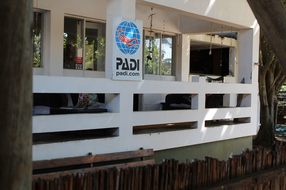 Devocean Eco Adventure Lodge ポンタ・ド・オウロ エクステリア 写真