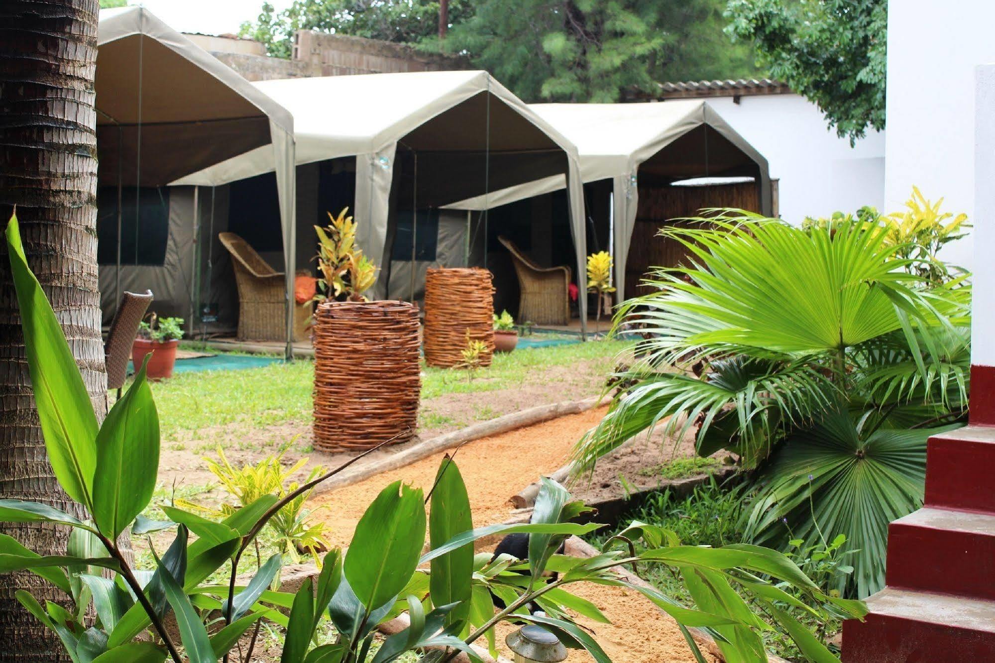 Devocean Eco Adventure Lodge ポンタ・ド・オウロ エクステリア 写真