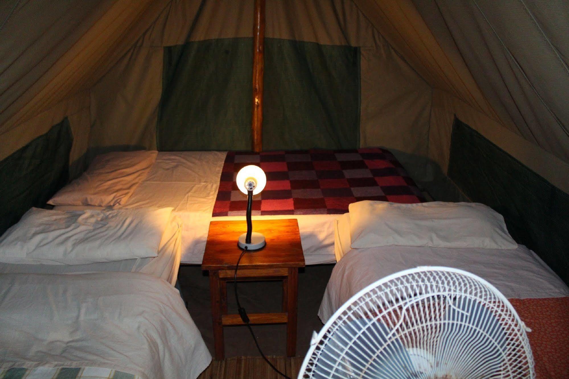 Devocean Eco Adventure Lodge ポンタ・ド・オウロ エクステリア 写真