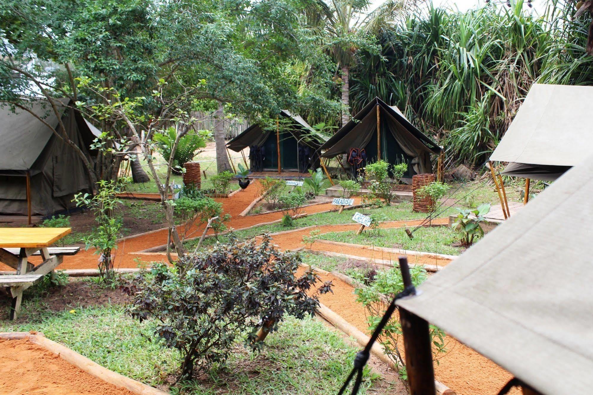 Devocean Eco Adventure Lodge ポンタ・ド・オウロ エクステリア 写真