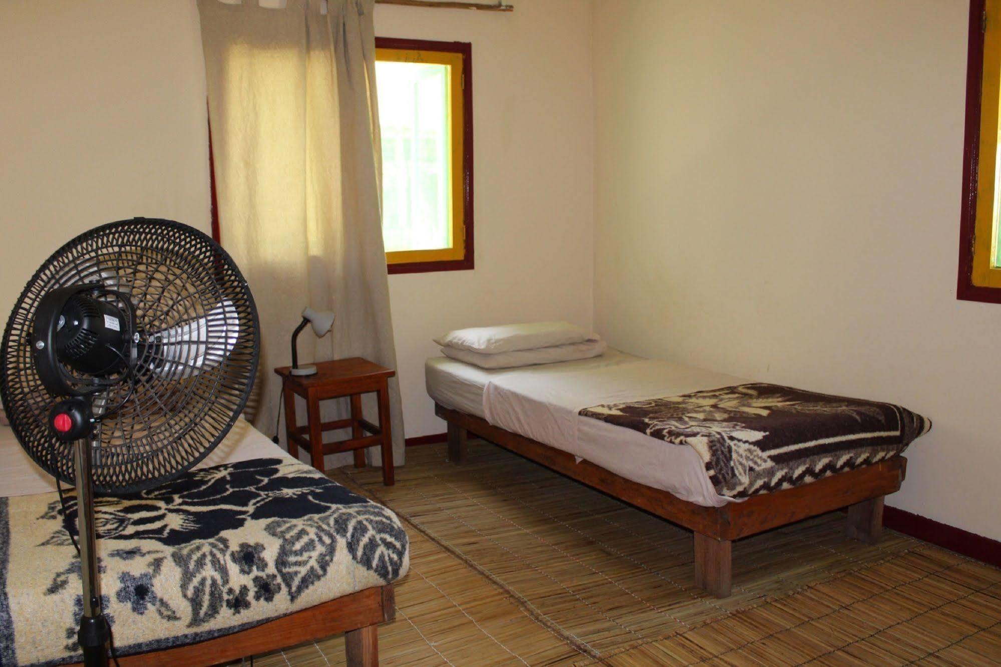 Devocean Eco Adventure Lodge ポンタ・ド・オウロ エクステリア 写真